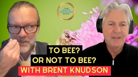 To BEE, or not to BEE? That is the Question! with Brent Knudsen – 12th Nov 2025
