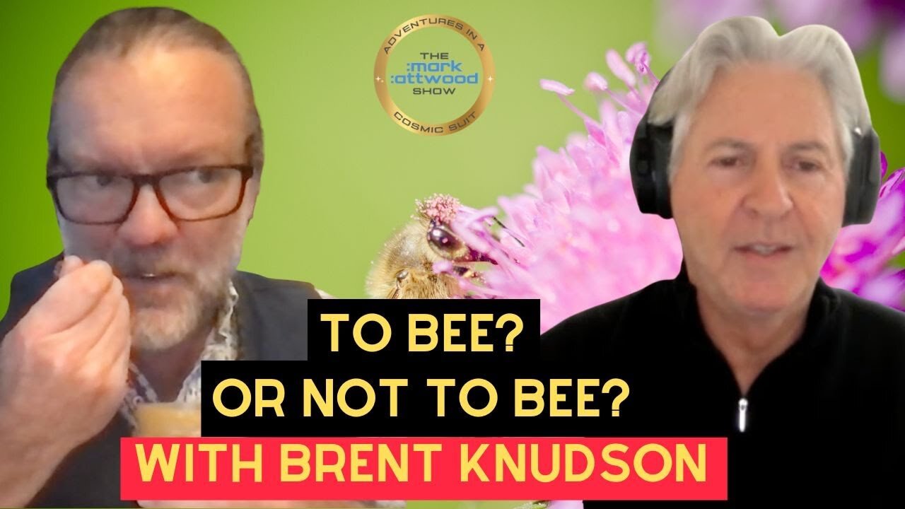 To BEE, or not to BEE? That is the Question! with Brent Knudsen – 12th Nov 2025