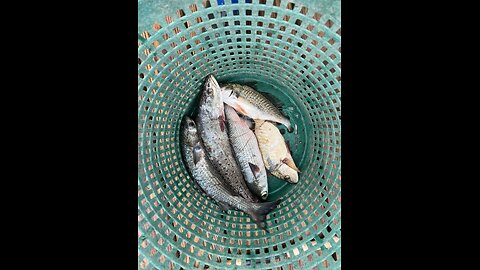 I’m just fishing in the rain