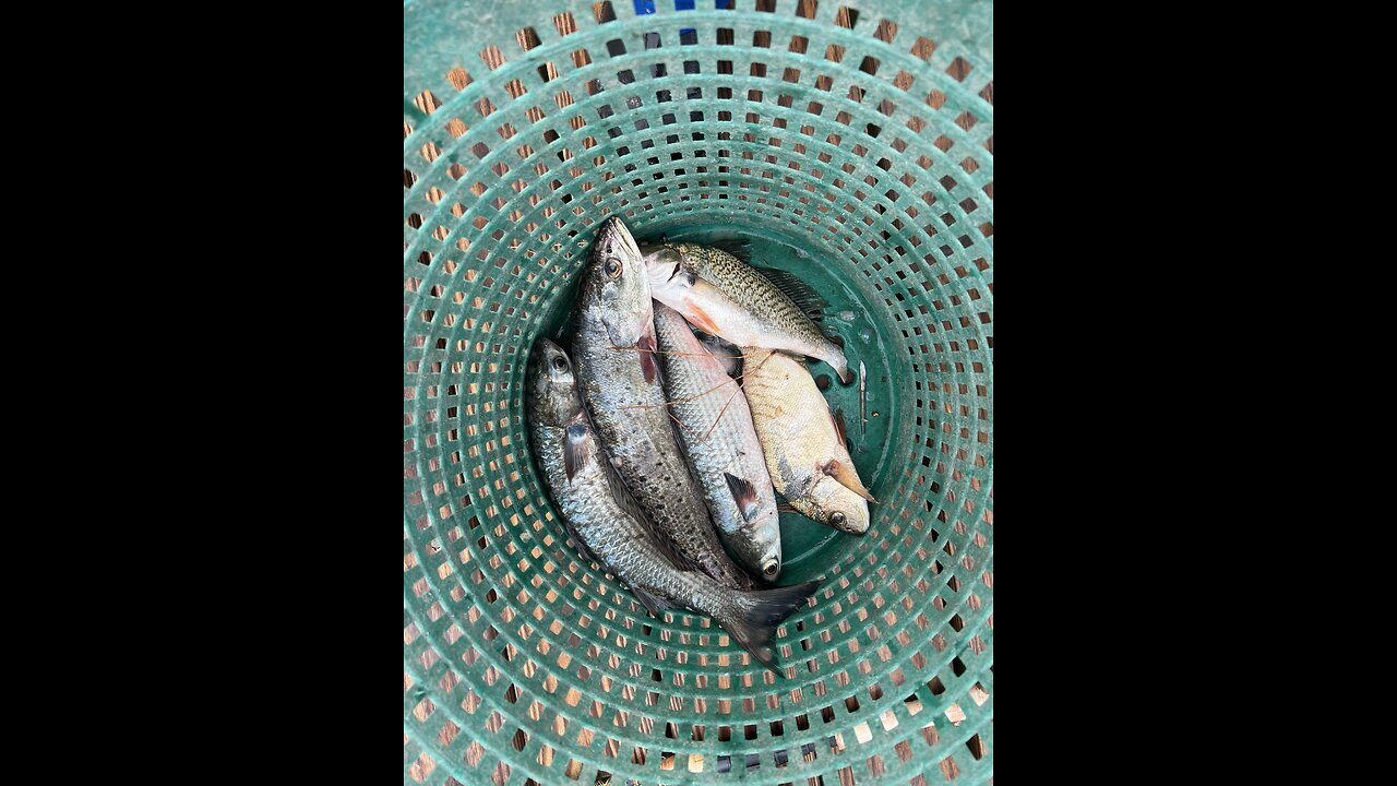 I’m just fishing in the rain