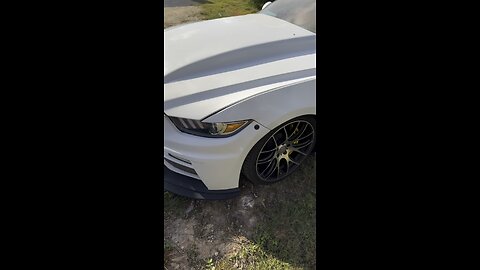 DIY paint job on Mustang GT 5.0