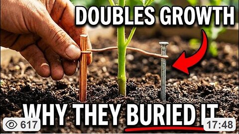 "EARTH BATTERY" SECRET: In 1841, a Scottish clockmaker found the earth itself was a battery