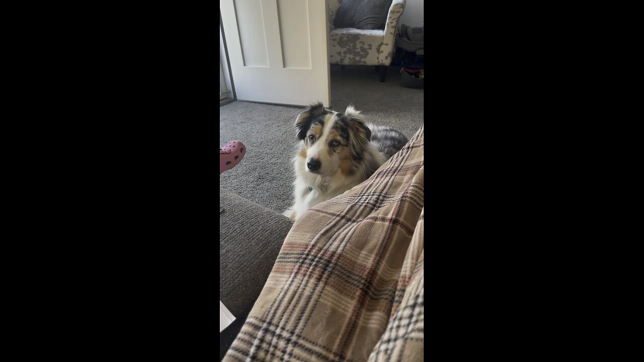 Aussie