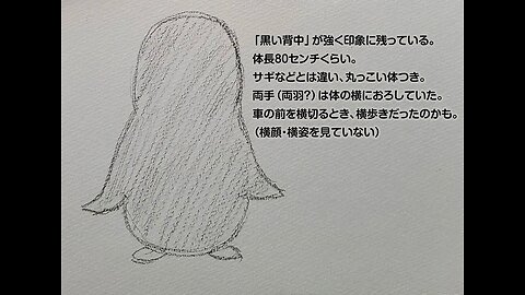 Ehime Penquin