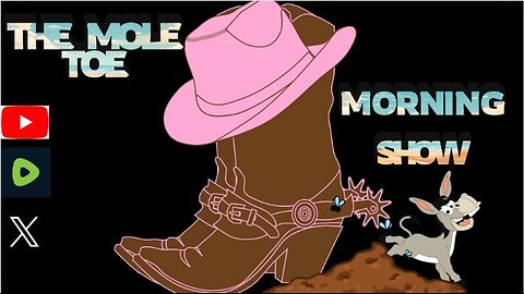 The Mole mid Morning Show