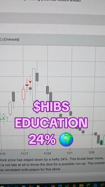 $HIBS 24%🌍