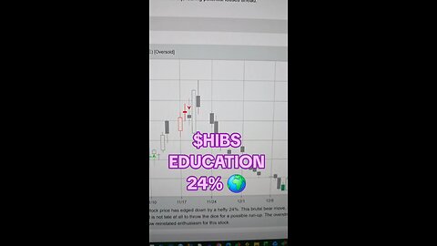 $HIBS 24%🌍