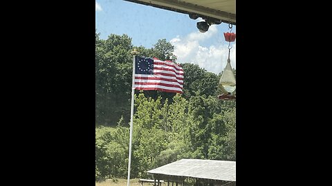 DSG "Swamp Pop" P-90 Clean