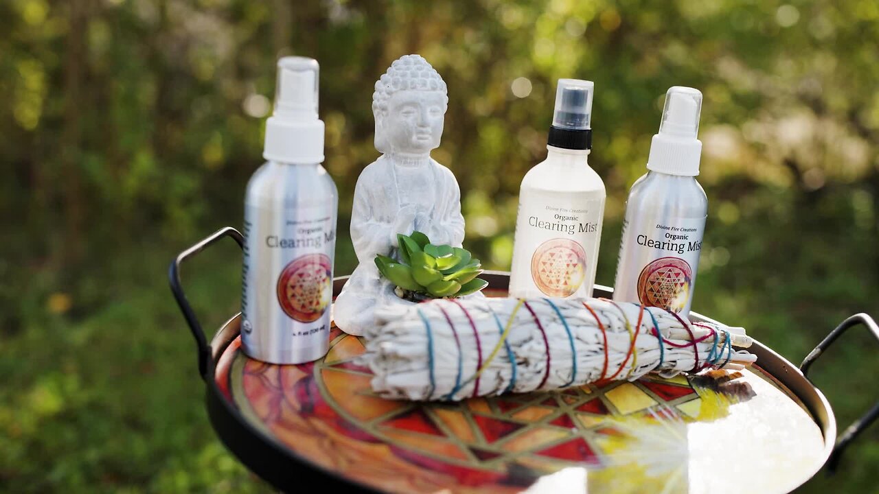 Geomagnetic Storms, Auroras & You