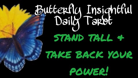 Butterfly Insightful Daily Tarot - stand tall & take back your power!
