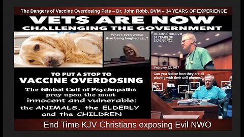 The Dangers of Vaccine Overdosing Pets – Dr. John Robb, DVM – 34 YEARS OF EXPERIENCE