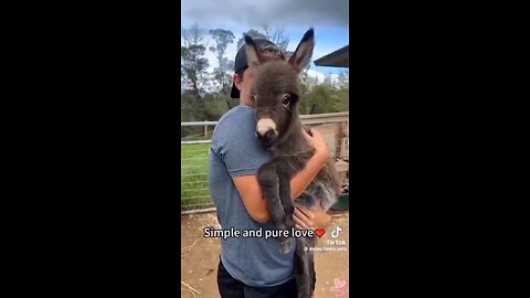 Love All Life Always #338 - Simple And Pure Love. Love IS The Most Powerful Force In The Universe!