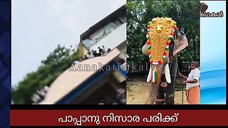 ആനയുടെ ആക്രമണത്തിൽ ഒന്നാം പാപ്പാന് പരിക്ക് _ Mahout is injured by kerala elephant attack