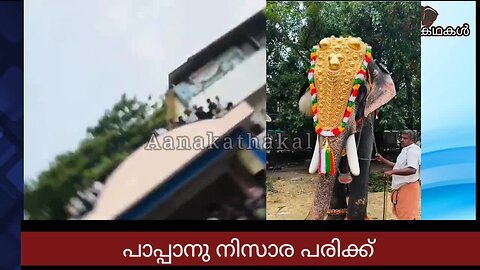 ആനയുടെ ആക്രമണത്തിൽ ഒന്നാം പാപ്പാന് പരിക്ക് _ Mahout is injured by kerala elephant attack