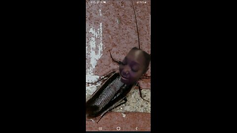 Melgunz Da Realist - Cockroaches 3 Freestyle 2025 (Ebbi May Diss)