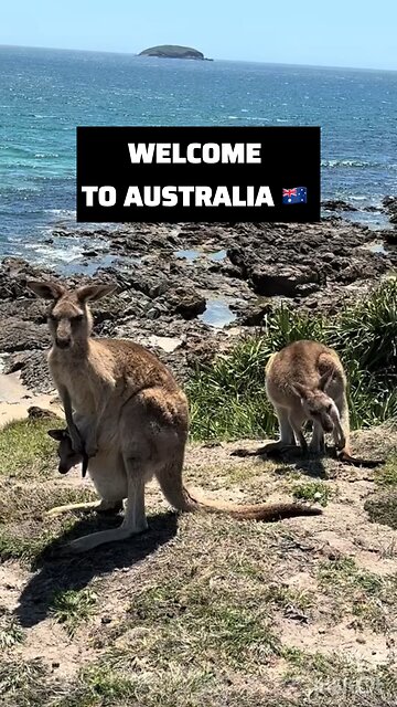 Welcome to Australia 🇦🇺