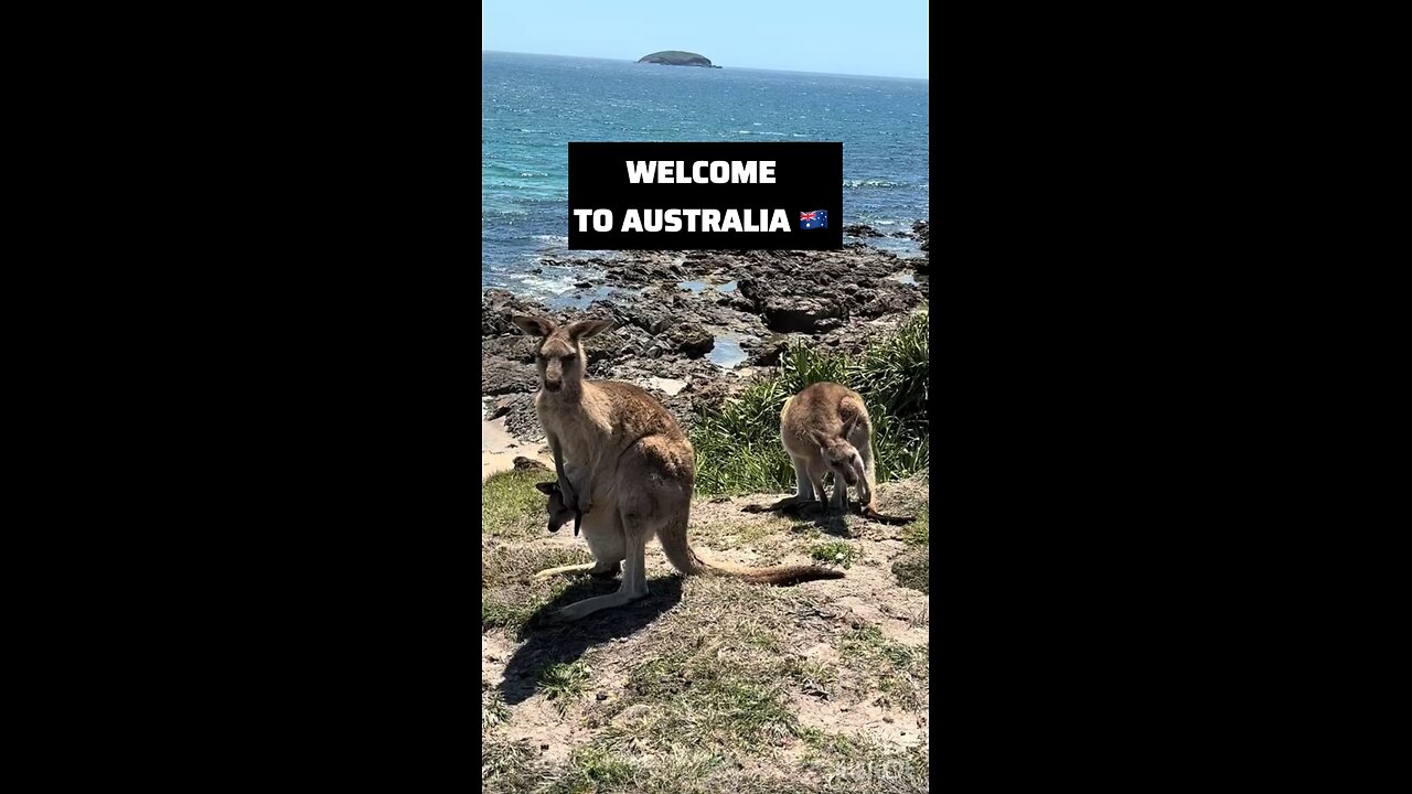 Welcome to Australia 🇦🇺