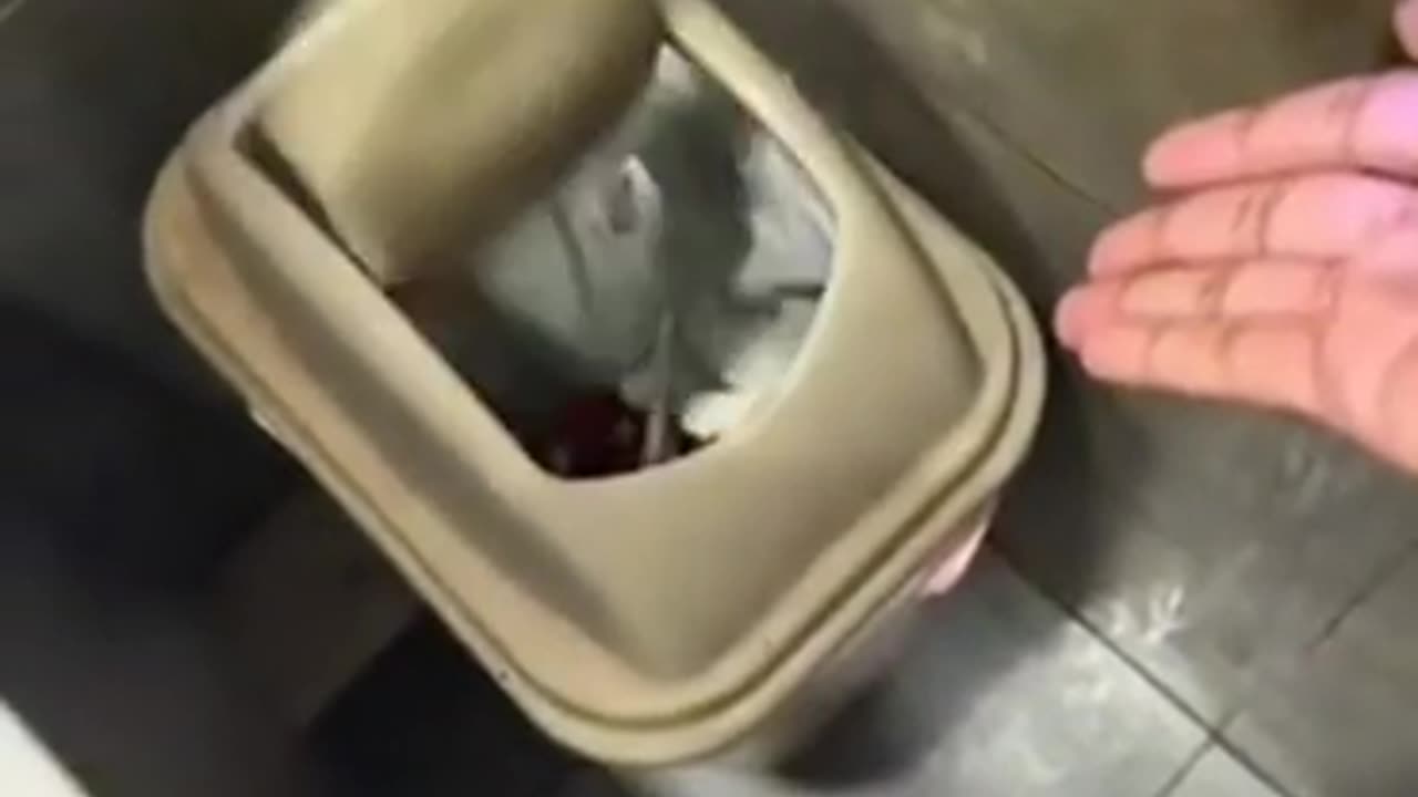 ✨😂 Magic Happens in This Epic Fail! | FunFM