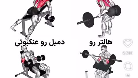 Build Muscle Fast: 20-Minute Full Body Workout for Maximum Gains