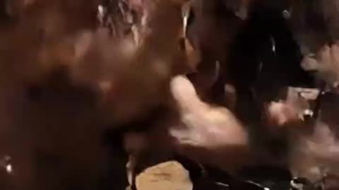 EL GRITO DE GUERRA