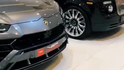 🤯💨 Choose One! 🚀 | LuxurySportsCars