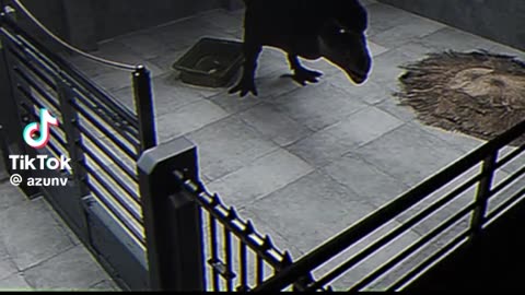 👻🤔 Hope It’s Good... But Is It? | TheHauntingHour