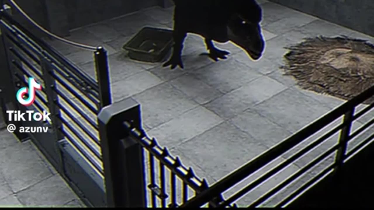 👻🤔 Hope It’s Good... But Is It? | TheHauntingHour