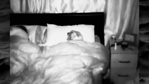 😨👀 Paranormal Encounter You Have to See to Believe | TheHauntingHour