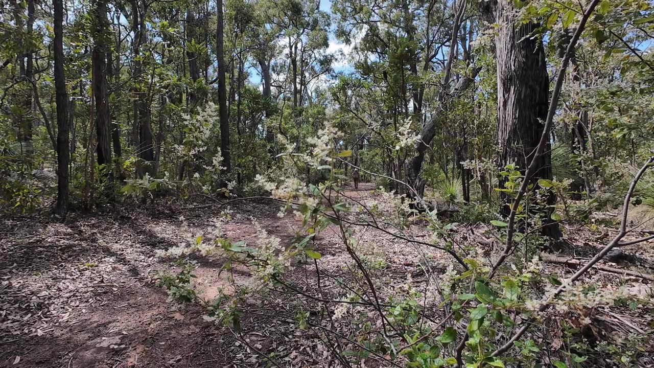 Kittys Gorge Ridge Walk Blue