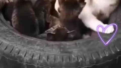 Real friendship sees beyond the surface