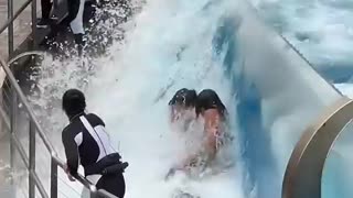 Shocking: Massive Orca Whale Wave Crash on Guests! 🐳 #seaworld #funny #orca #kil