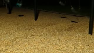 GHOSTS IN THE PLAYGROUND - I JUST SAW THIS AT THE PARK TONIGHT - HALLOWEEN 2025