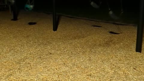 GHOSTS IN THE PLAYGROUND - I JUST SAW THIS AT THE PARK TONIGHT - HALLOWEEN 2025