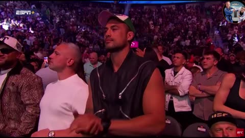 Alex Pereira Knocks Out Magomed Ankalaev 👊 | UFC 320