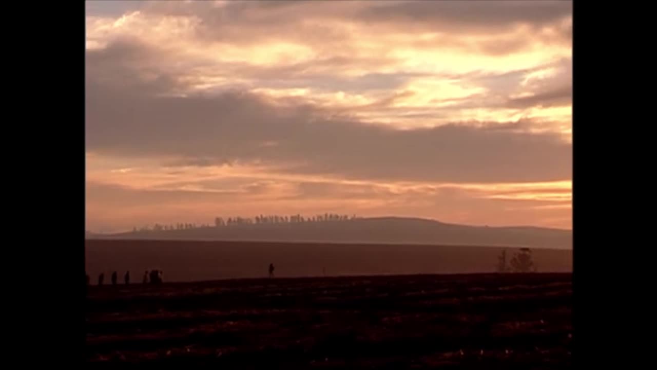 Canavial de Paixões Capítulo 22