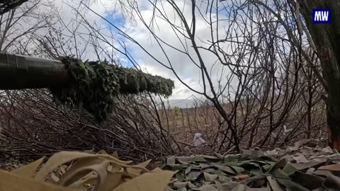 Ukraine Russo war combat footage/rUkelated 11/27/2025
