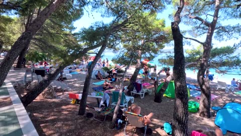 Overnight in a Cabin in the Wild, Avoid the Rain, Shower, and Cook/ Wild Beauty Returns