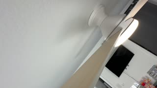 Review addlon Ceiling Fans with Lights