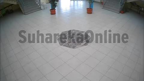 Qeni hyn në një shkollë së Suharekë dhe sulmon fëmijët