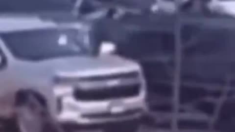 Case closed dyke had it coming