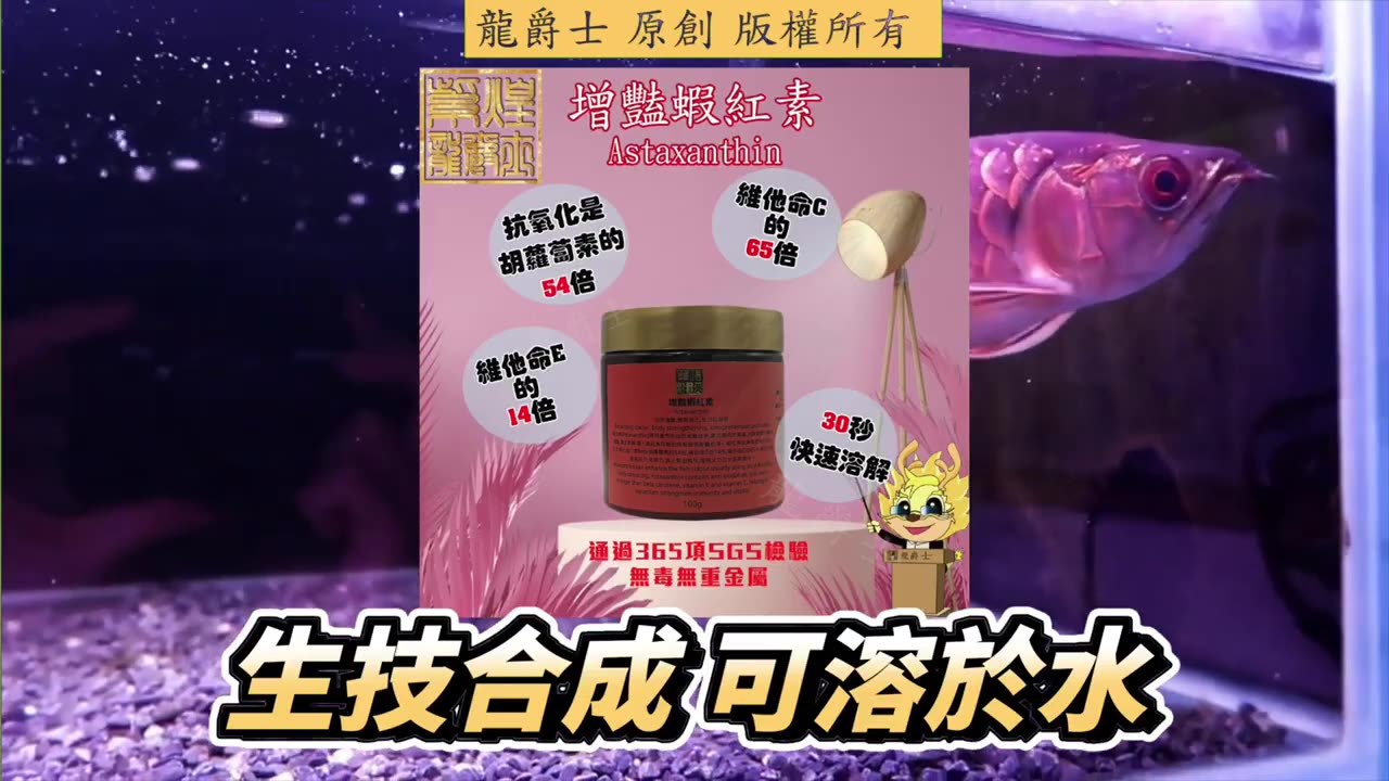 【龍爵士】Q267 蝦紅素是天然的嗎，可以直接給大麥蟲吃後再餵魚嗎