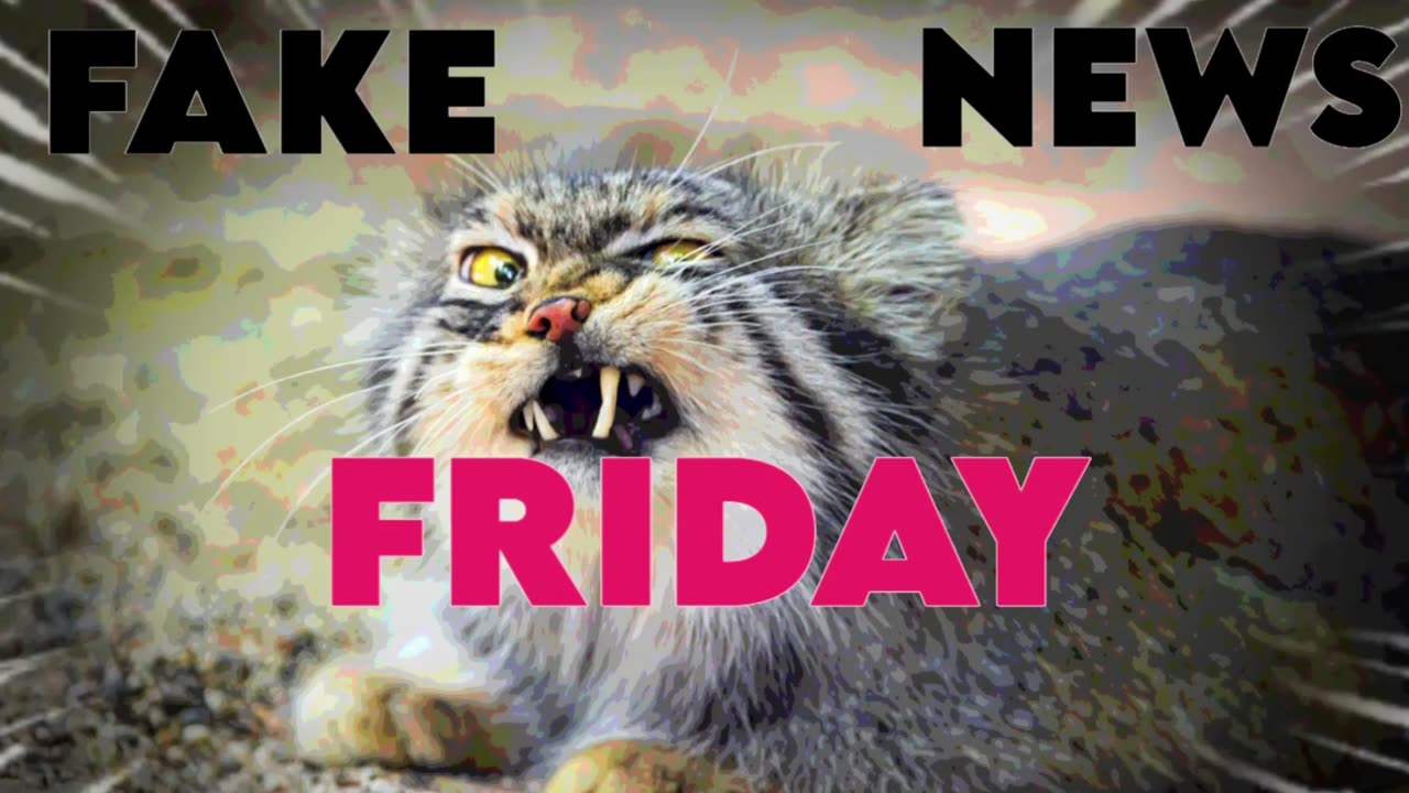 Breast Implants Are NOT SOCIALIST!!! - FakeNewsFridayShow