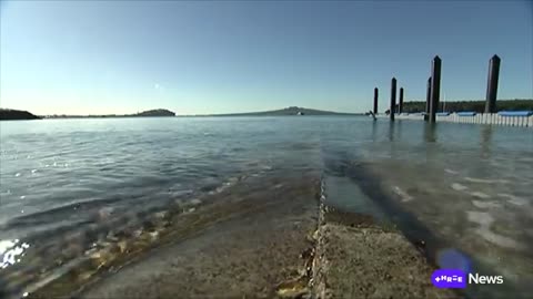 Protections to be boosted in Hauraki Gulf but some say it's 'not completely a win