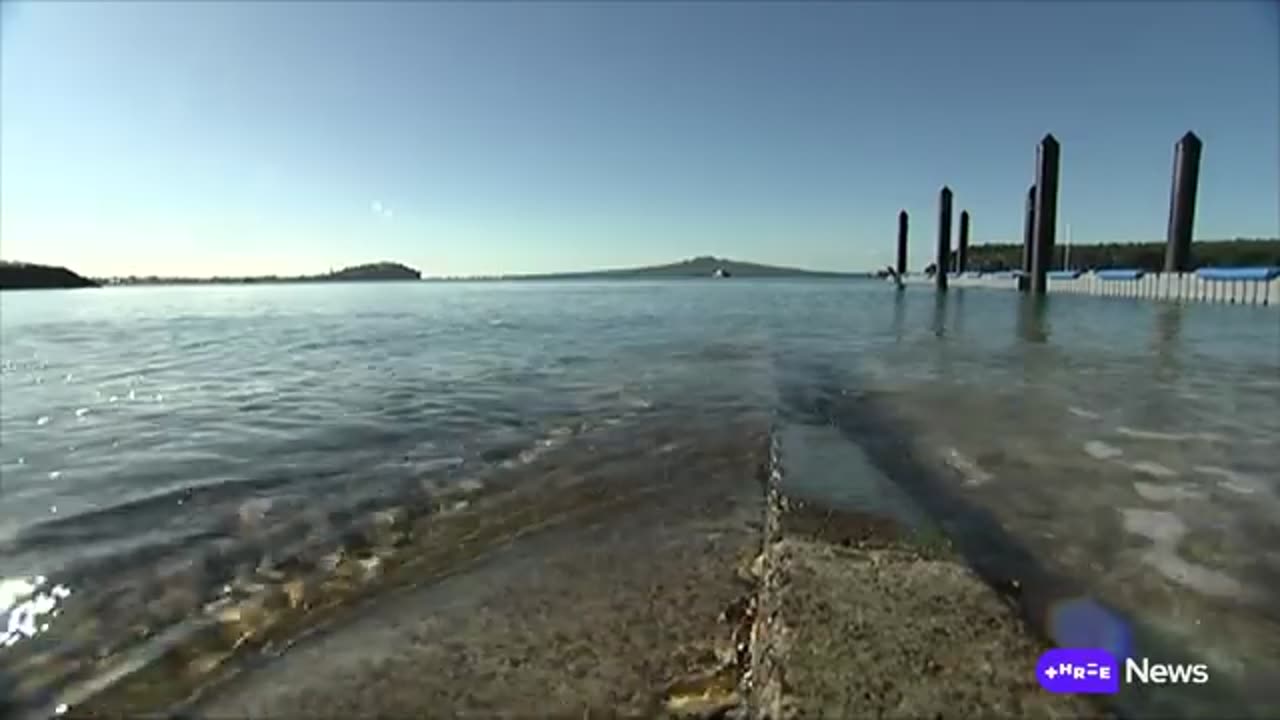 Protections to be boosted in Hauraki Gulf but some say it's 'not completely a win