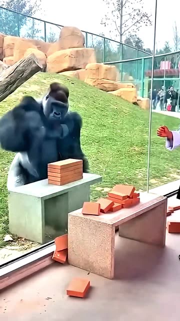 How surprised are you?