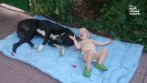 Heartwarming Moments: Babies Playing with Their Furry Friends