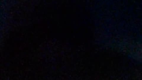 😱🛸 Strange Lights Behind Trees - What Are They? | TheTruthAbove
