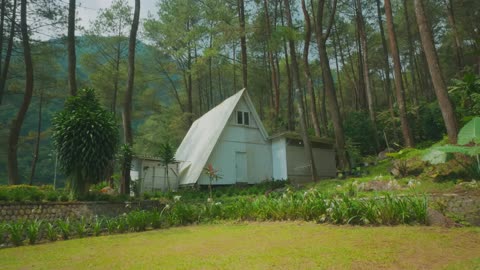Why A-Frame Houses Often Fail in Real Life