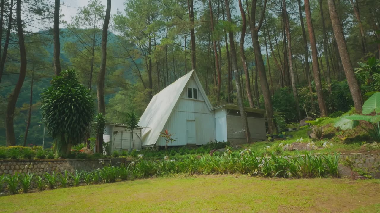 Why A-Frame Houses Often Fail in Real Life