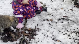 Baby Kayla Plays With Her Bunnies in the Snow ❄️🐰